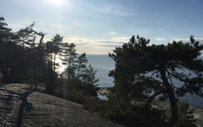 Pro Kirkkonummi kannattaa Porkkalan merellisen kansallispuiston perustamista kunnan maankäytön kehityskuva 2040-2060 -suunnitelmassa.